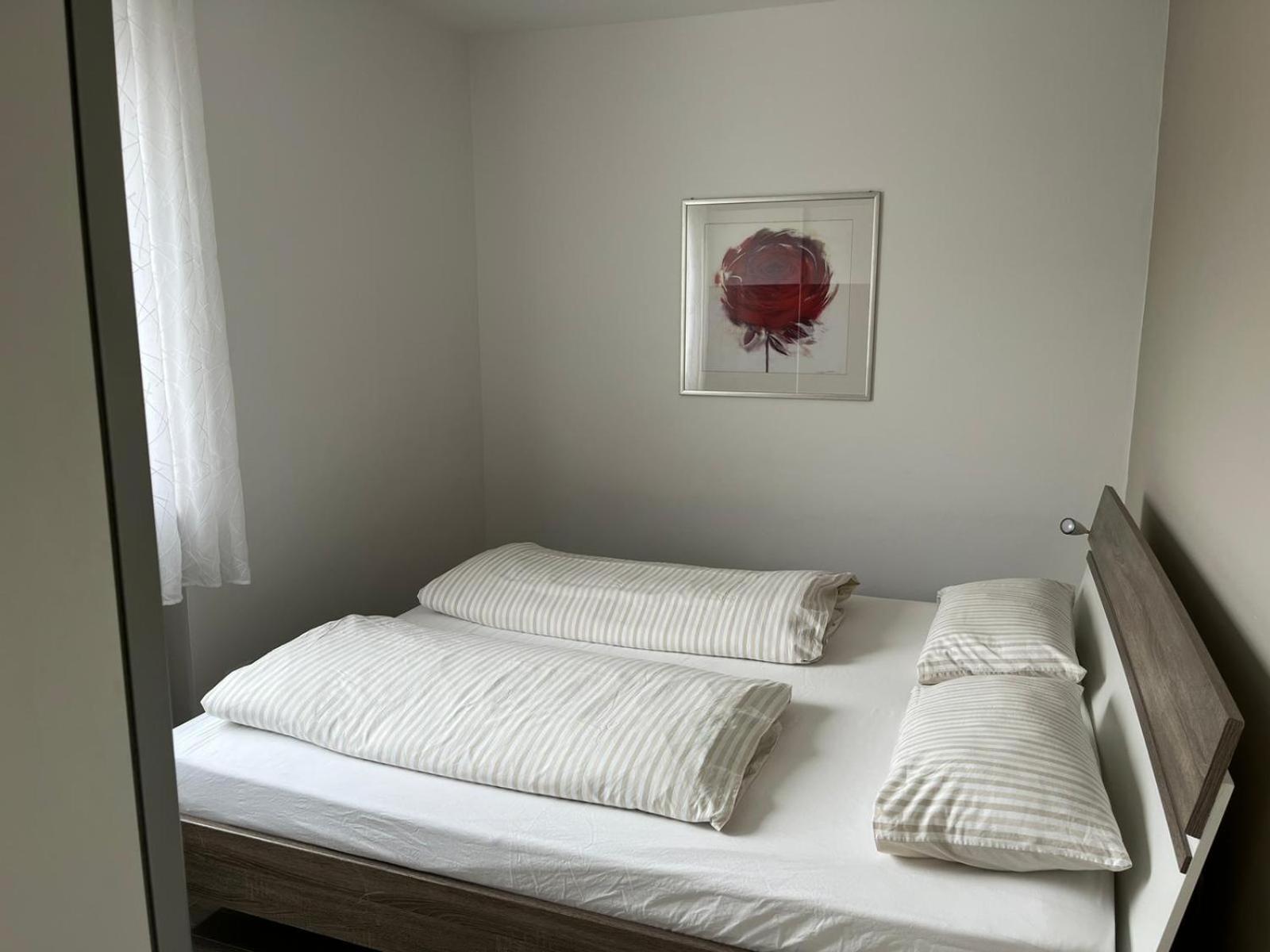 Apartment Roma 梅拉诺 外观 照片